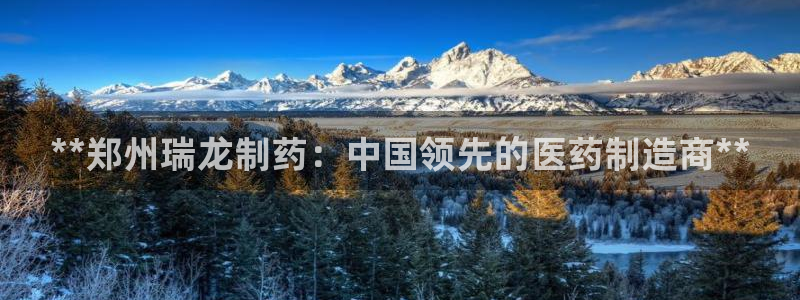 老哥俱乐部是干什么的啊：**郑州瑞龙制药：中国领先的医药制造商**