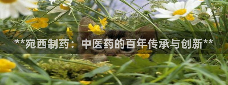 九游老哥俱乐部官网登录网址：**宛西制药：中医药的百年传承与创新**