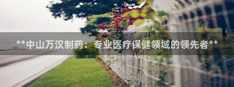 九游会老哥俱乐部官方网站：**中山万汉制药：专业医疗保健领域的领先者**