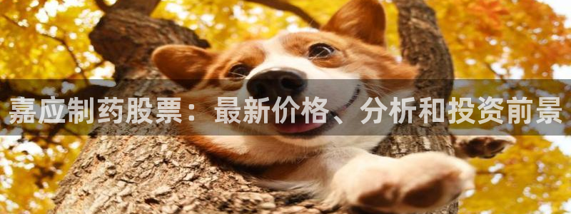 九游会老哥俱乐部官网首页：嘉应制药股票：最新价格、分析和投资前景