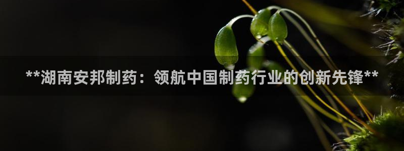 九游老哥俱乐部官网登录不了：**湖南安邦制药：领航中国制药行业的创新先锋**