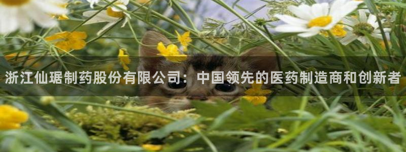 老哥俱乐部是干什么的啊：浙江仙琚制药股份有限公司：中国领先的医药制造商和创新者