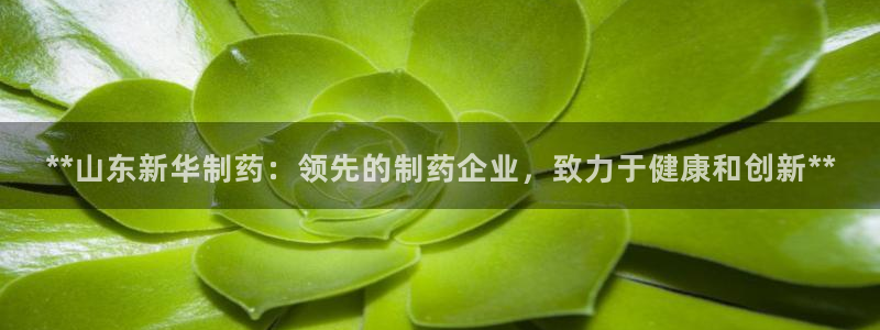 九游老哥俱乐部官网登录入口：**山东新华制药：领先的制药企业，致力于健康和创新**
