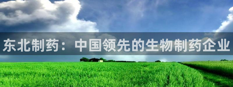 九游会老哥：东北制药：中国领先的生物制药企业