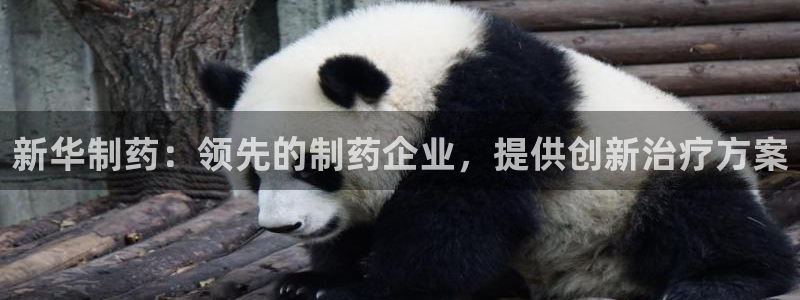 九游会老哥俱乐部交流社区：新华制药：领先的制药企业，提供创新治疗方案
