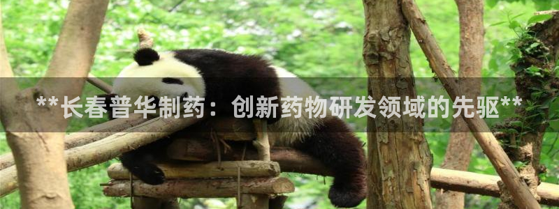 九游会老哥俱乐部官方网站