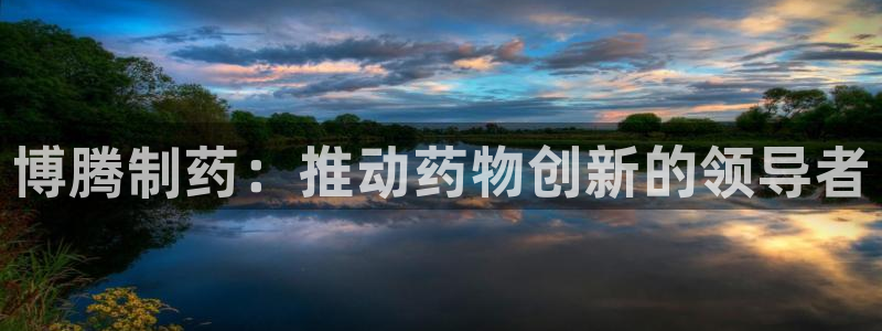 老哥吧九游会下架吗：博腾制药：推动药物创新的领导者