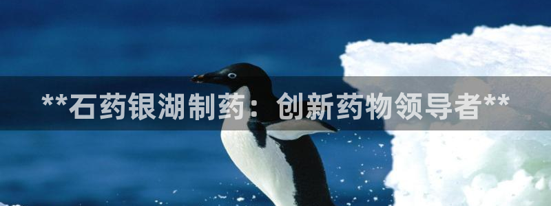 九游会老哥必备的交流社区九：**石药银湖制药：创新药物领导者**