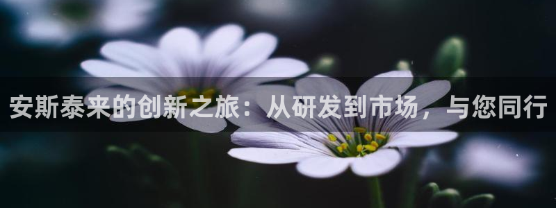 九游会老哥俱乐部论坛版：安斯泰来的创新之旅：从研发到市场，与您同行