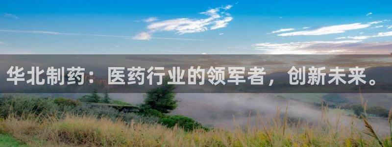 老哥俱乐部是干什么的啊：华北制药：医药行业的领军者，创新未来。