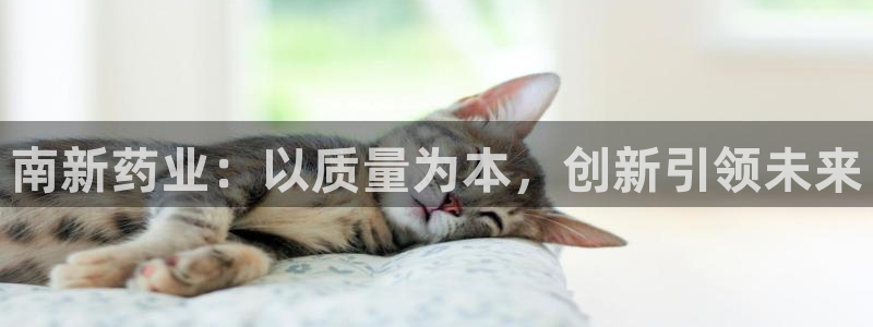 九游会老哥必备的交流社区九：南新药业：以质量为本，创新引领未来