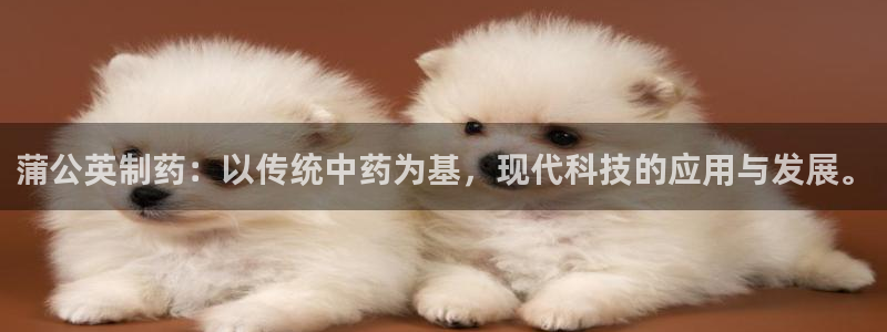 老哥吧九游会：蒲公英制药：以传统中药为基，现代科技的应用与发展。