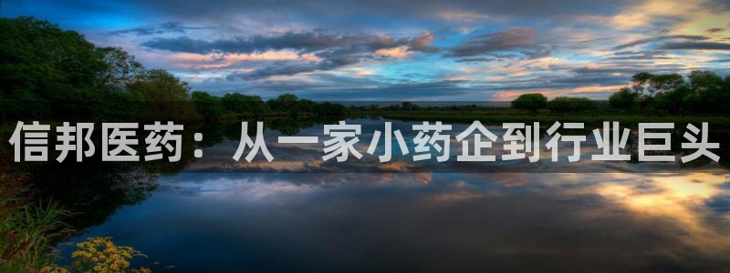 老哥吧九游会：信邦医药：从一家小药企到行业巨头