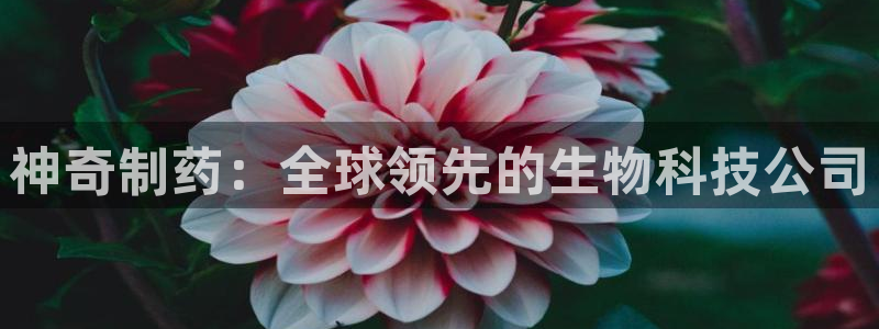 九游会老哥俱乐部必备的交流社区：神奇制药：全球领先的生物科技公司