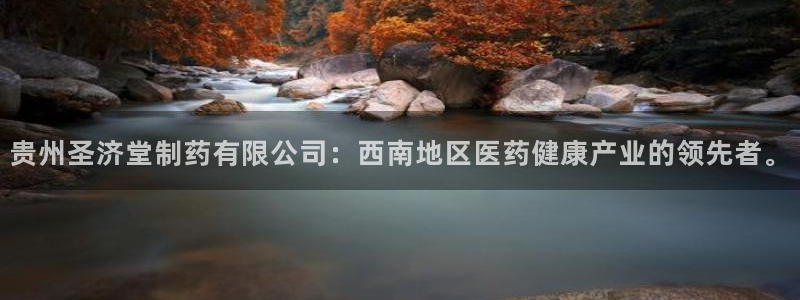 老哥吧九游会：贵州圣济堂制药有限公司：西南地区医药健康产业的领先者。