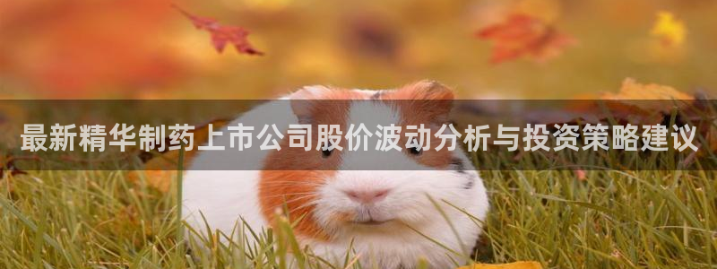 九游会老哥俱乐部论坛版：最新精华制药上市公司股价波动分析与投资策略建议