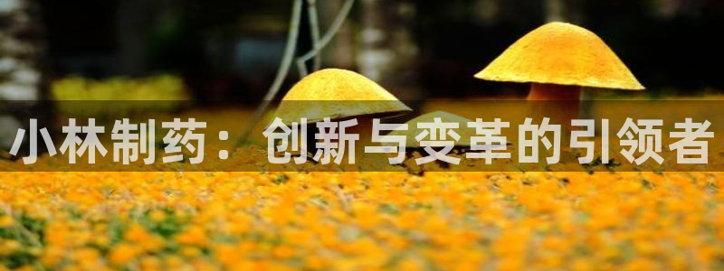 9游会老哥：小林制药：创新与变革的引领者