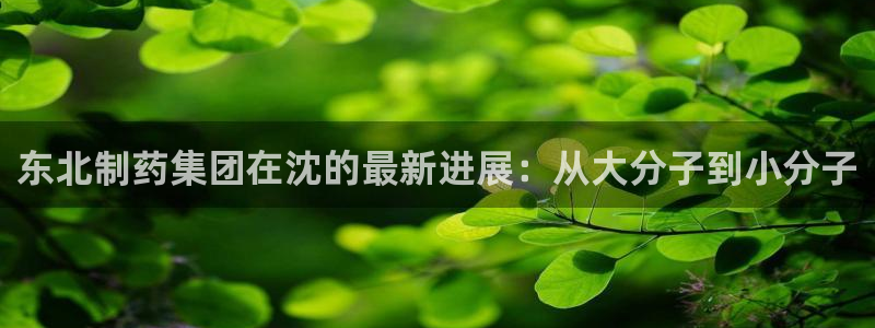 九游会老哥俱乐部必备的交流社区：东北制药集团在沈的最新进展：从大分子到小分子