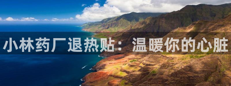 老哥吧九游会下架吗：小林药厂退热贴：温暖你的心脏