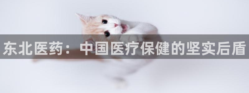 九游会老哥俱乐部必备的交流社区：东北医药：中国医疗保健的坚实后盾