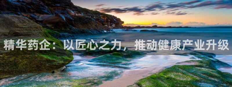九游会老哥必备的交流社区：精华药企：以匠心之力，推动健康产业升级