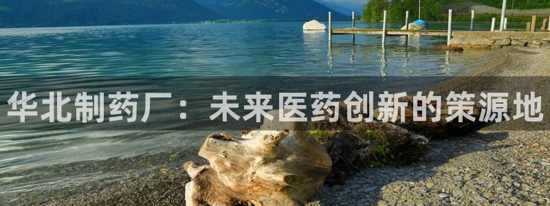 九游会老哥俱乐部官网首页论坛：华北制药厂：未来医药创新的策源地