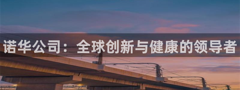 九游老哥俱乐部官网登录：诺华公司：全球创新与健康的领导者