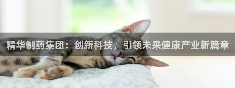 九游会老哥：精华制药集团：创新科技，引领未来健康产业新篇章