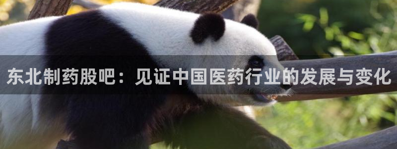 九游会老哥俱乐部官方网站：东北制药股吧：见证中国医药行业的发展与变化