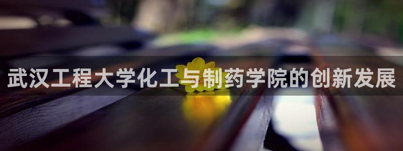 j9九游会老哥俱乐部交流区：武汉工程大学化工与制药学院的创新发展