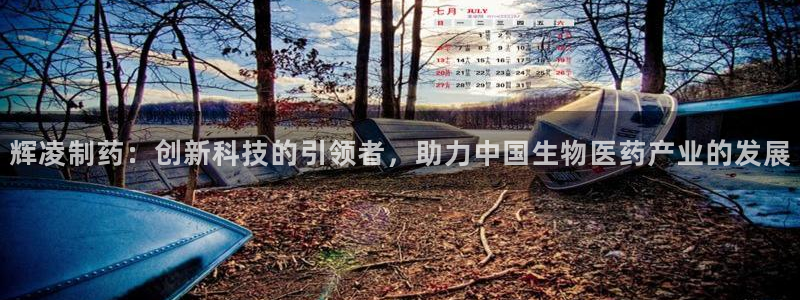 九游老哥俱乐部官网登录不了：辉凌制药：创新科技的引领者，助力中国生物医药产业的发展