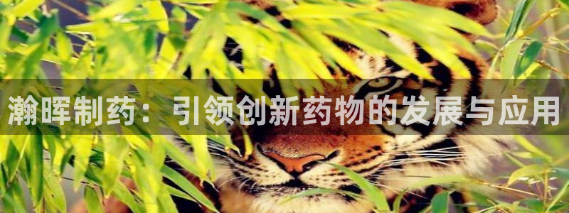 usdt九游会老哥俱乐部