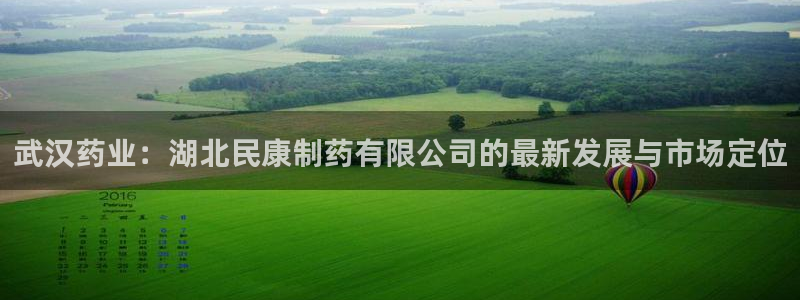 九游会老哥俱乐部官网首页：武汉药业：湖北民康制药有限公司的最新发展与市场定位