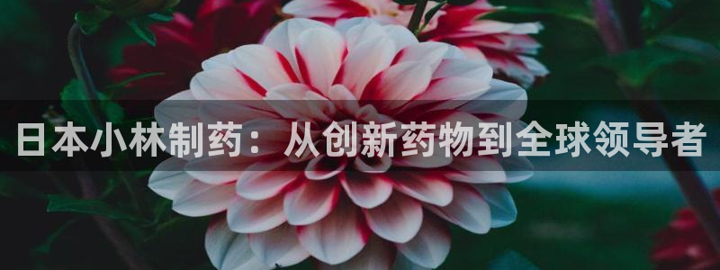 九游会老哥：日本小林制药：从创新药物到全球领导者