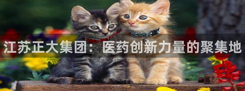 九游老哥俱乐部官网登录入口：江苏正大集团：医药创新力量的聚集地