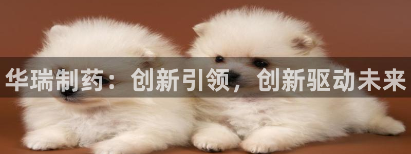 九游会老哥俱乐部官方网站：华瑞制药：创新引领，创新驱动未来