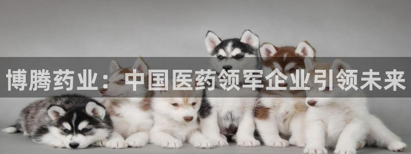 老哥俱乐部是干什么的：博腾药业：中国医药领军企业引领未来