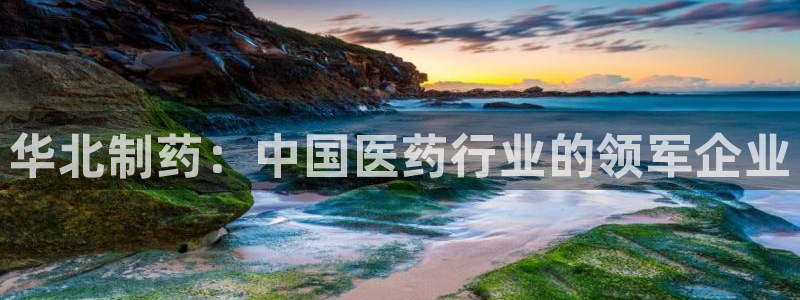 九游老哥俱乐部官网登录入口：华北制药：中国医药行业的领军企业