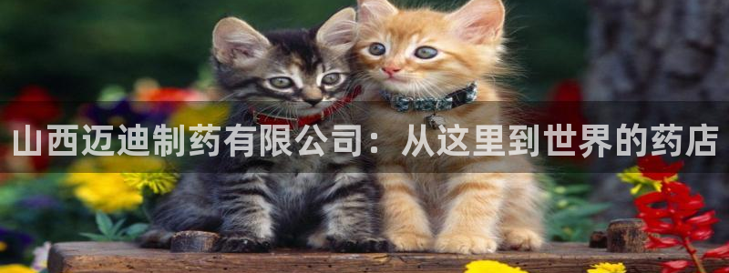 九游会老哥必备的交流社区九