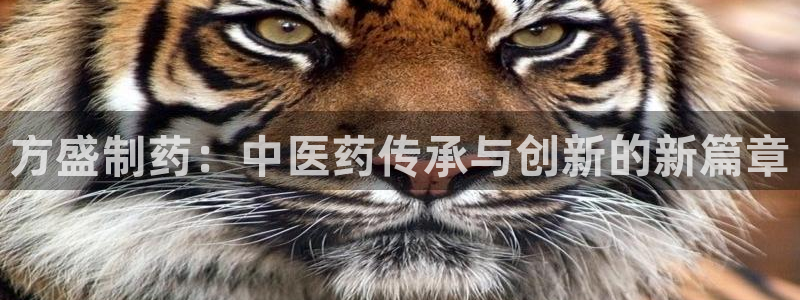 老哥吧九游会下架吗