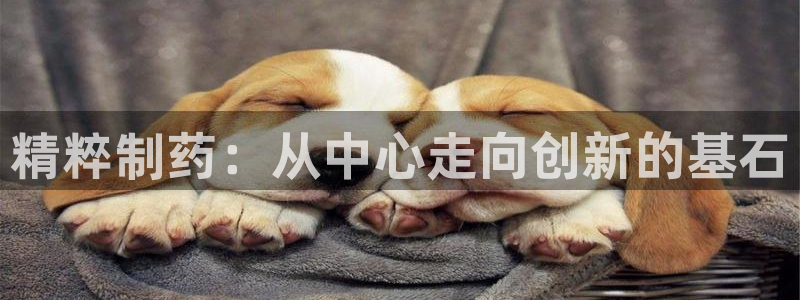 ag九游老哥俱乐部：精粹制药：从中心走向创新的基石