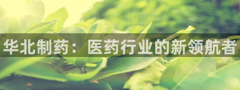 九游老哥俱乐部官网登录不了