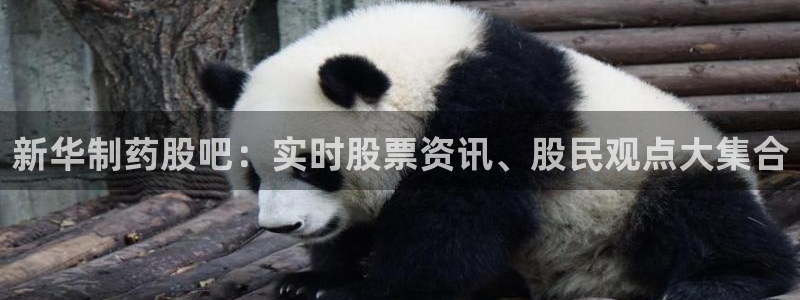 九游老哥俱乐部登录