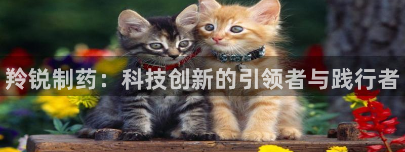 ag九游会老哥：羚锐制药：科技创新的引领者与践行者