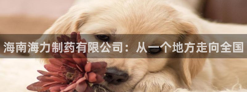 九游会老哥俱乐部交流社区：海南海力制药有限公司：从一个地方走向全国