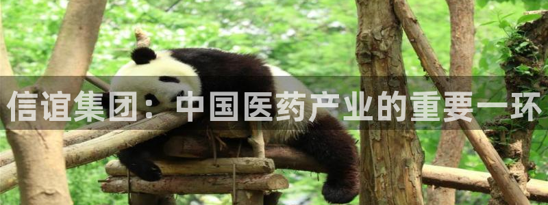 九游会老哥俱乐部社区论坛