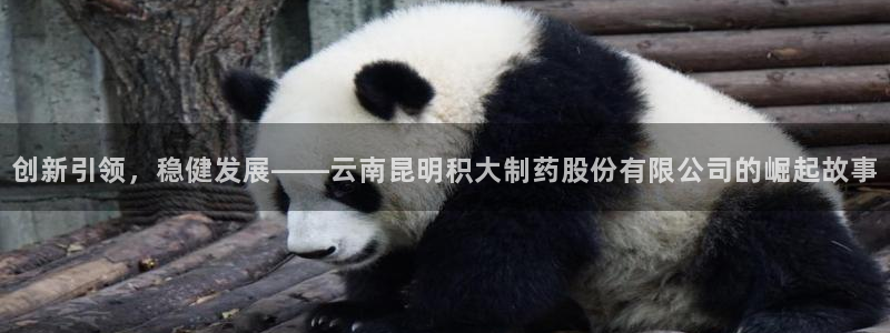 九游老哥俱乐部官网登录入口