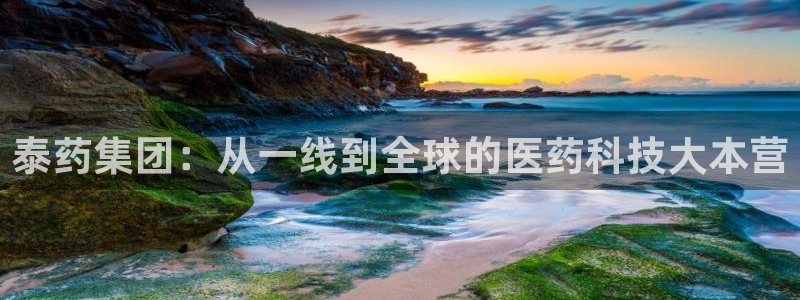 九游会老哥俱乐部交流社区