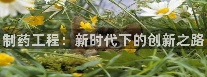 9游会老哥俱乐部