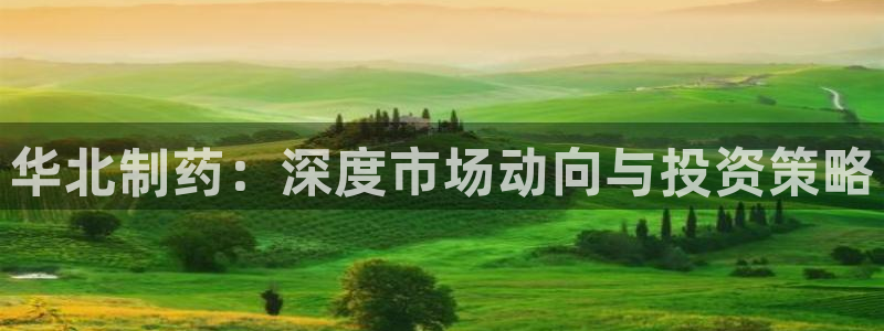 九游会老哥俱乐部官网首页论坛：华北制药：深度市场动向与投资策略